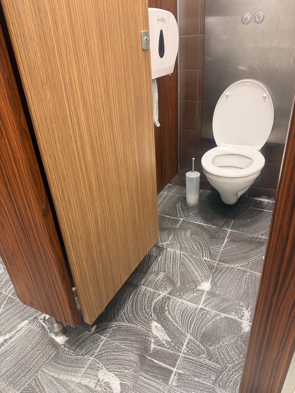 Toilet sanitising